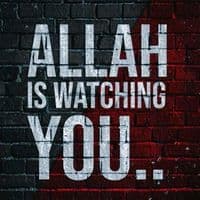 TikTok Account - fikr_o_akhrat