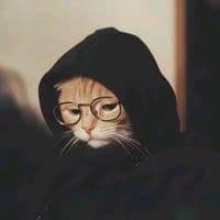 TikTok Account - rasuli_muminov1010