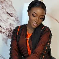 TikTok Account - daoulahouse1