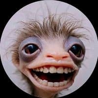 TikTok Account - nataliagcort