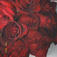 TikTok Account - 075mxma