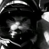 TikTok Account - nazaninnn93