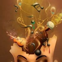 TikTok Account - souncasa