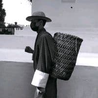 TikTok Account - nova_bugapuga