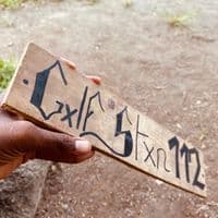 TikTok Account - snf_oogway678