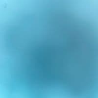 TikTok Account - gulnoza.erhasheva