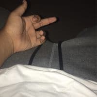 TikTok Account - pawtoslowforyou