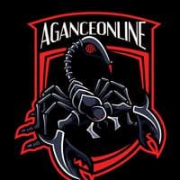 TikTok Account - aganceonline