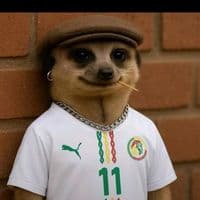 TikTok Account - teranga397