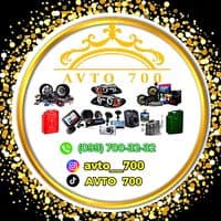 TikTok Account - avto__700