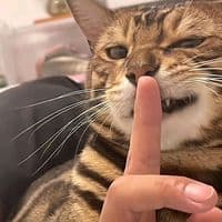 TikTok Account - manual_edit23