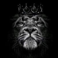 TikTok Account - tyrant.x7