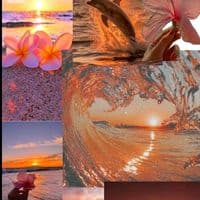 TikTok Creator - solg165