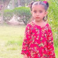 TikTok Account - uksardarbaloch0