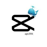 TikTok Account - agn.006