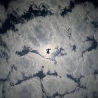 TikTok Account - mrlayi0