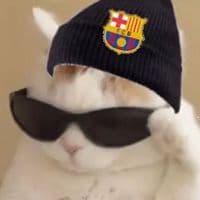 TikTok Account - gunman035