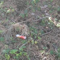 TikTok Account - russiansuki