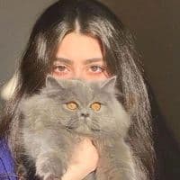 TikTok Account - charismatic..1