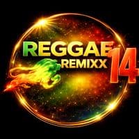 TikTok Account - reggaeremixx14