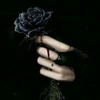 TikTok Account - ruang_rinduuu91