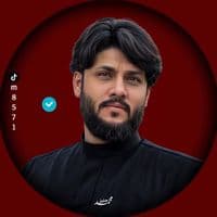 TikTok Account - m85741