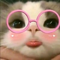 TikTok Account - bumakhamchha7