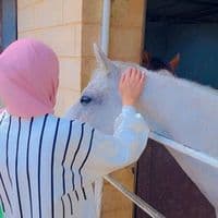 TikTok Account - mira.moukhadder