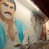 TikTok Account - zehraplus