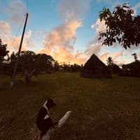 TikTok Account - wwallzg