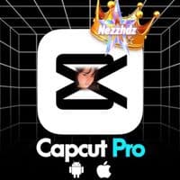 TikTok Creator - nezzhdz