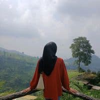 TikTok Account - kariikaamelia