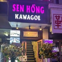 TikTok Account - senhong_kawagoe