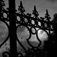 TikTok Account - teteuwyz