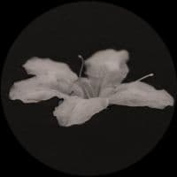 TikTok Account - 94uka