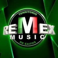 TikTok Account - remexmusicoficial