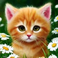 TikTok Account - sky.d3