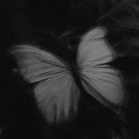 TikTok Account - lina.505_