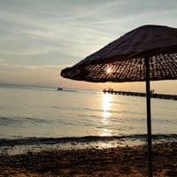 TikTok Account - gul768356