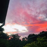 TikTok Account - stfumimiboo