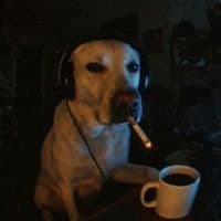 TikTok Account - spider_mem1