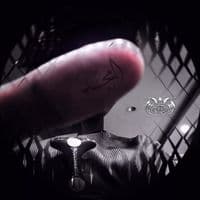 TikTok Account - 4.lpd