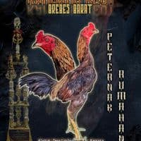 TikTok Account - aji_peternak_rumahan