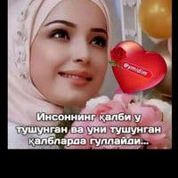 TikTok Account - nizvesniy...442