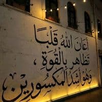 TikTok Account - user0kzn9tftpy