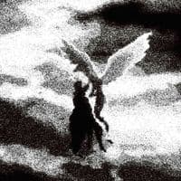 TikTok Account - pf_jl