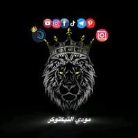 TikTok Account - 1x__mody__x0