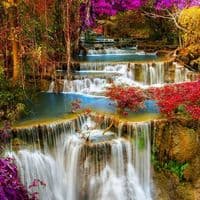 TikTok Account - anastasiaponoma24