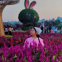 TikTok Account - dawhninthuzarhlaing