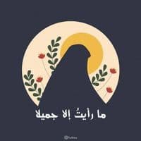 TikTok Account - b313iq